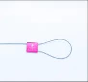 Prolox plastic security seal